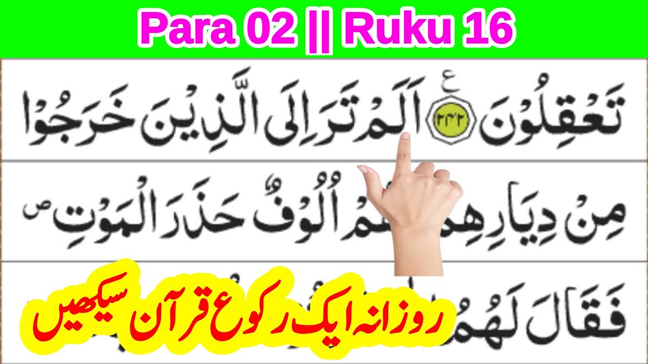 quran para 2 ruku 16 || daily 1 ruku quran सीखें || quran recitation