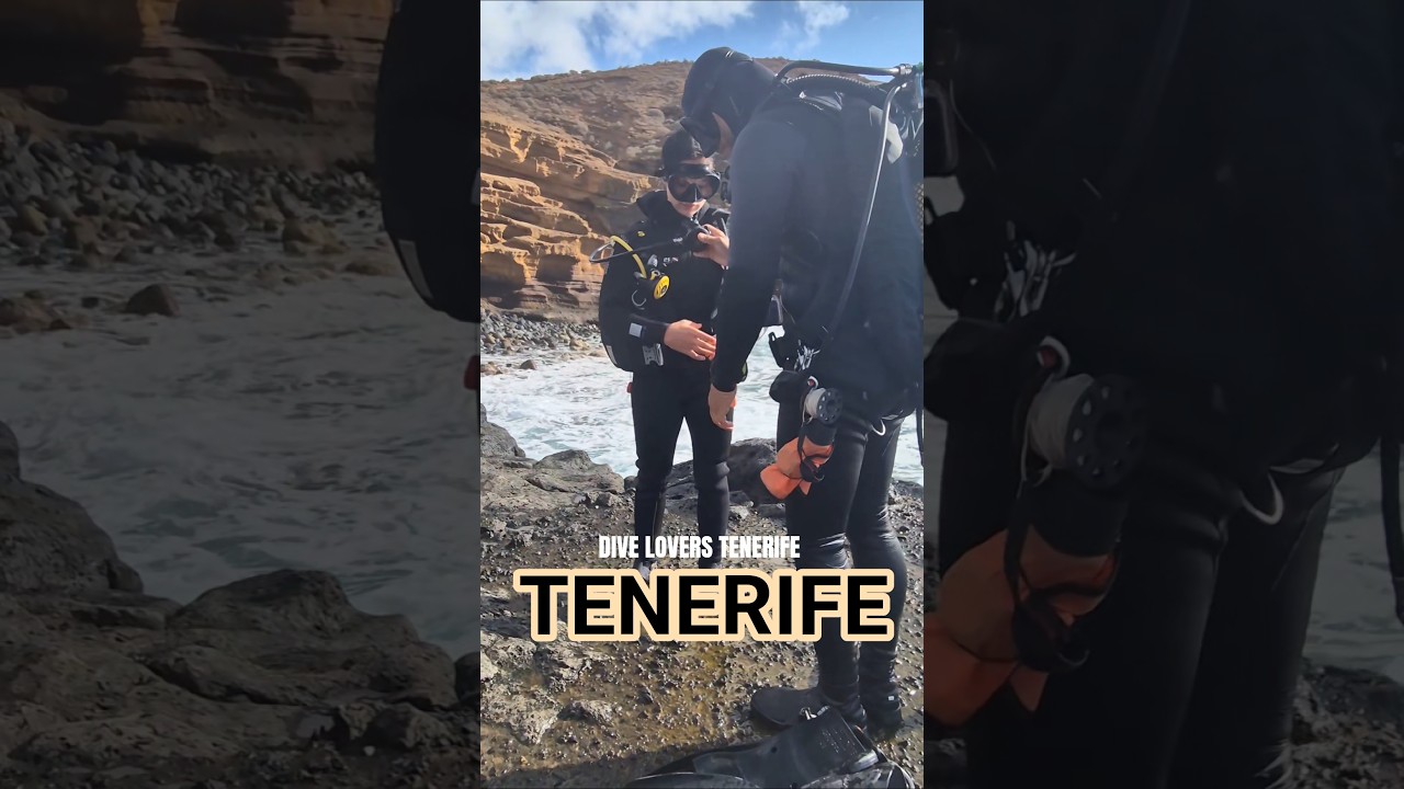 SCUBA DIVING FOR BEGINNERS TENERIFE - IN NATURAL RESERVE 👌 #tenerife #scubadiving #tenerife2025