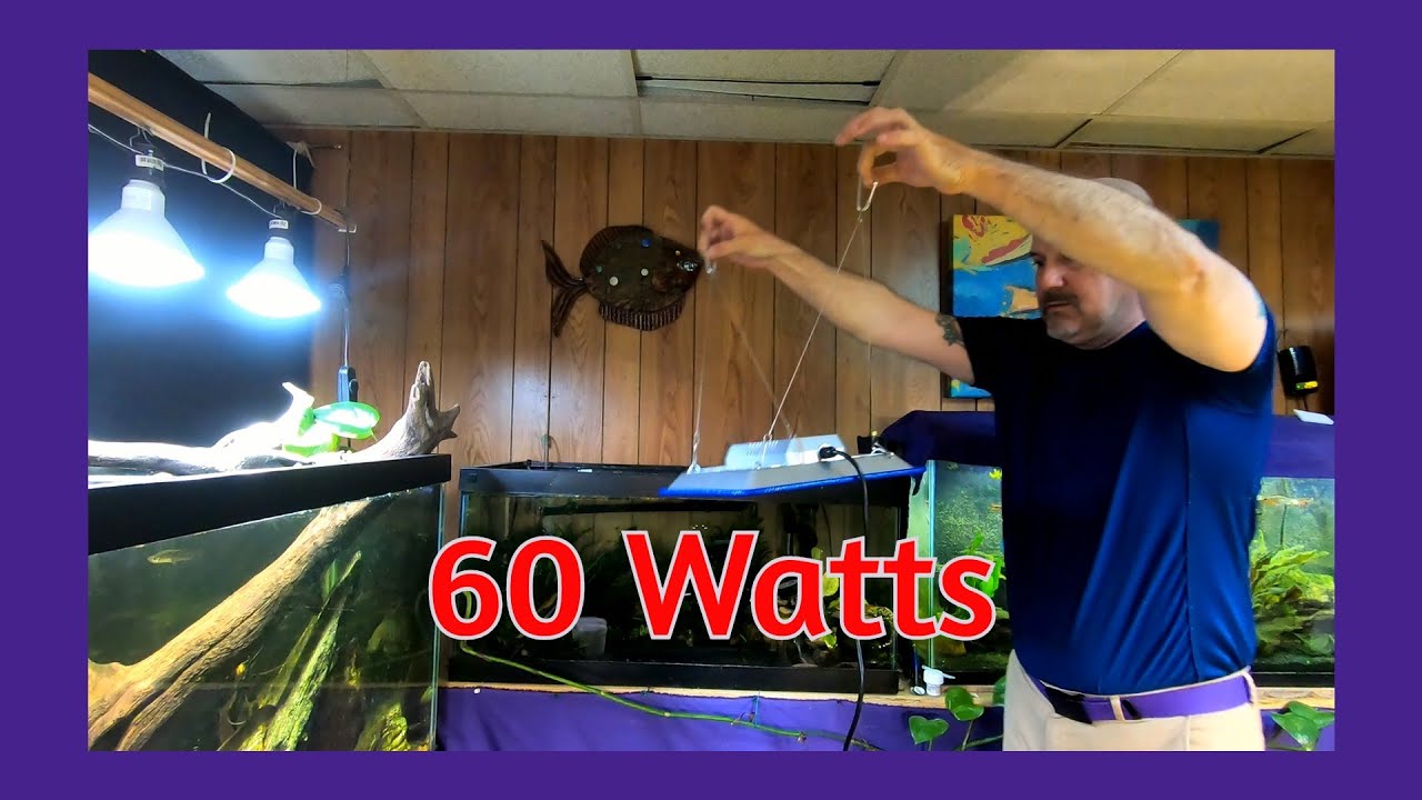 Unboxing & Installing LED Grow Light Over My Fish Tank