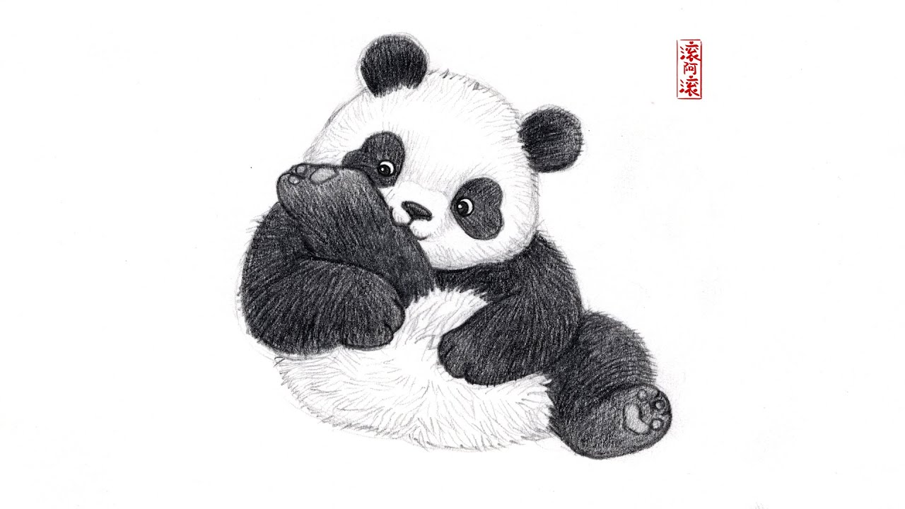 🐼✍️Draw a cute panda biting legs｜pencil sketch