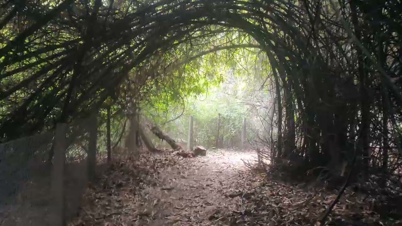 Sanjay van dehli
