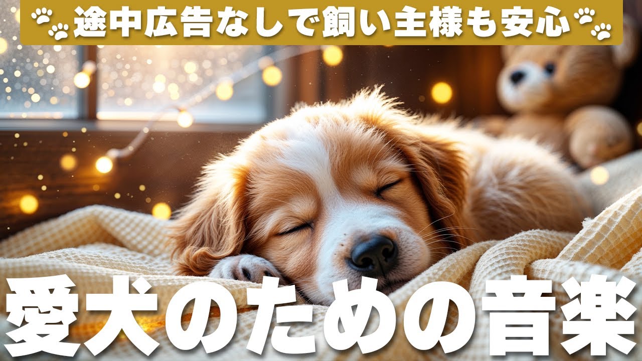 犬が落ち着く音楽 (12時間広告なし) 🐶 犬が好きな音楽 | 愛犬のストレス解消 / vol.791