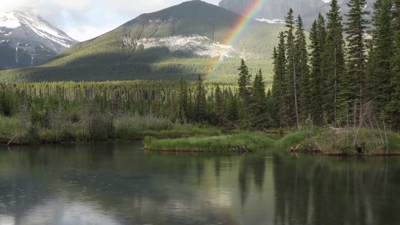 Rhythm Of The Rain by The Cascades - 432 Hz
