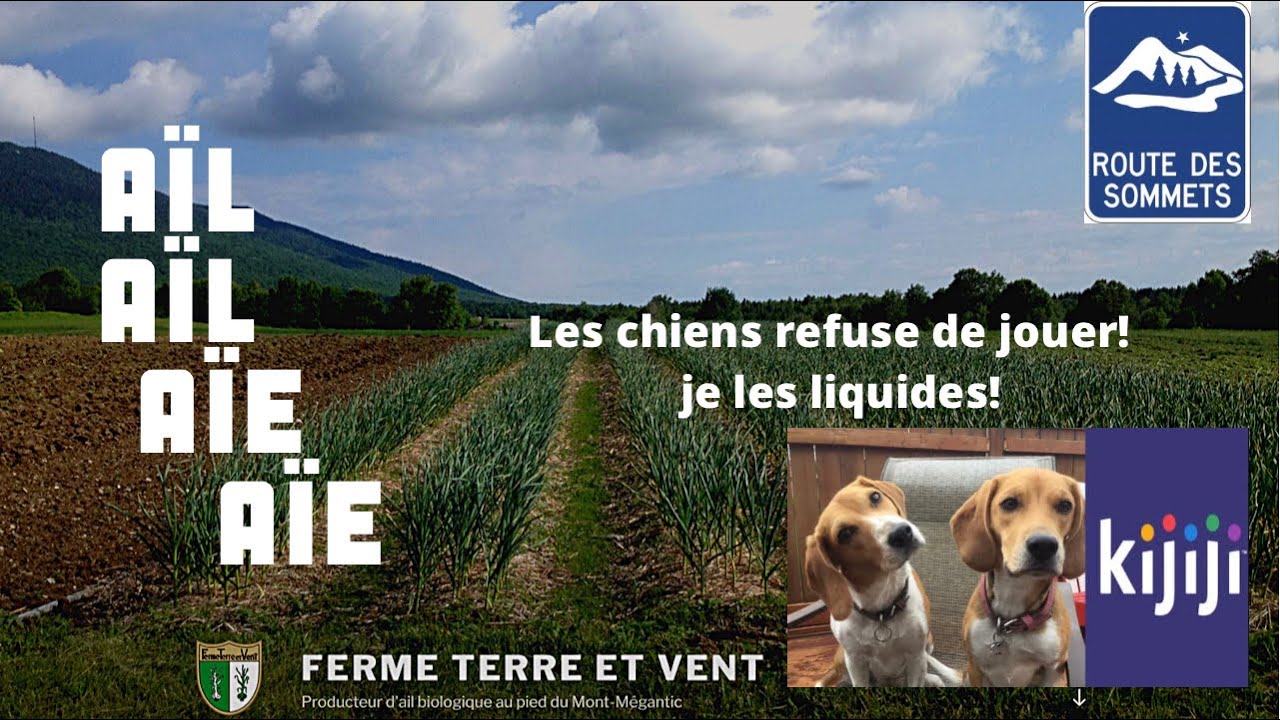 ROUTE DES SOMMETS *Camping Aventure, Ferme Terre et Vent* et Notre-Dame des bois