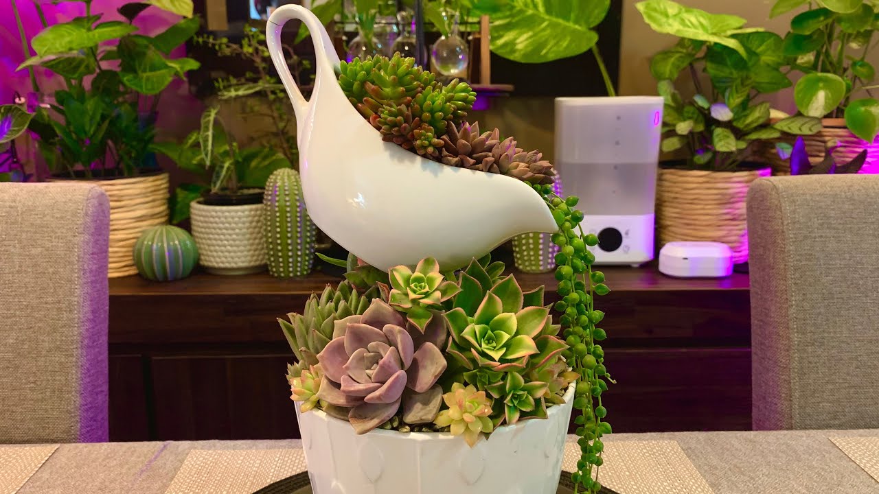 Succulent Arrangement with Floating Gravy Boat