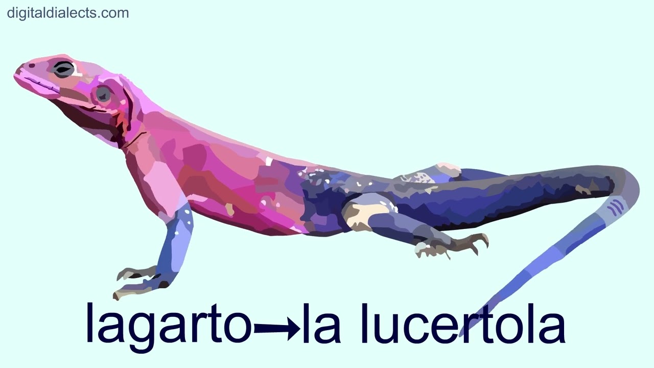 Animales en italiano 2. Español → italiano.