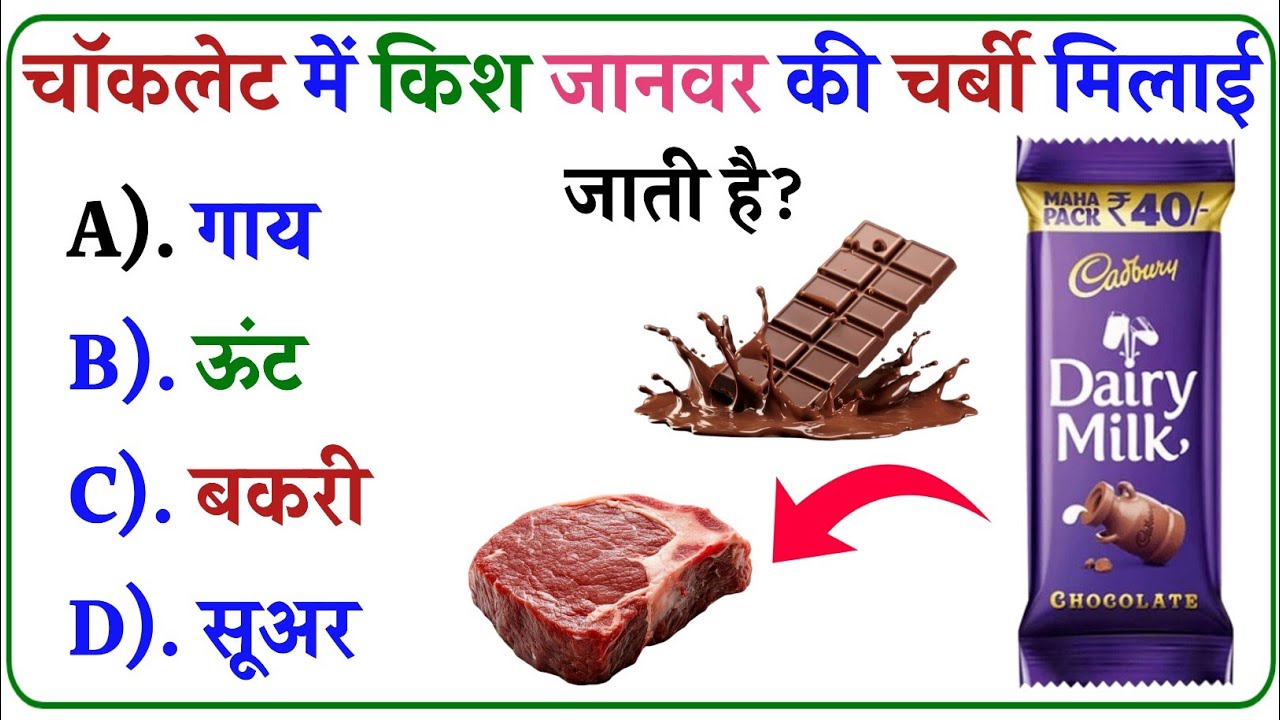 GK Questions || GK in Hindi || General Knowledge Questions and Answers || Gk Quiz || SR GK STUDY 