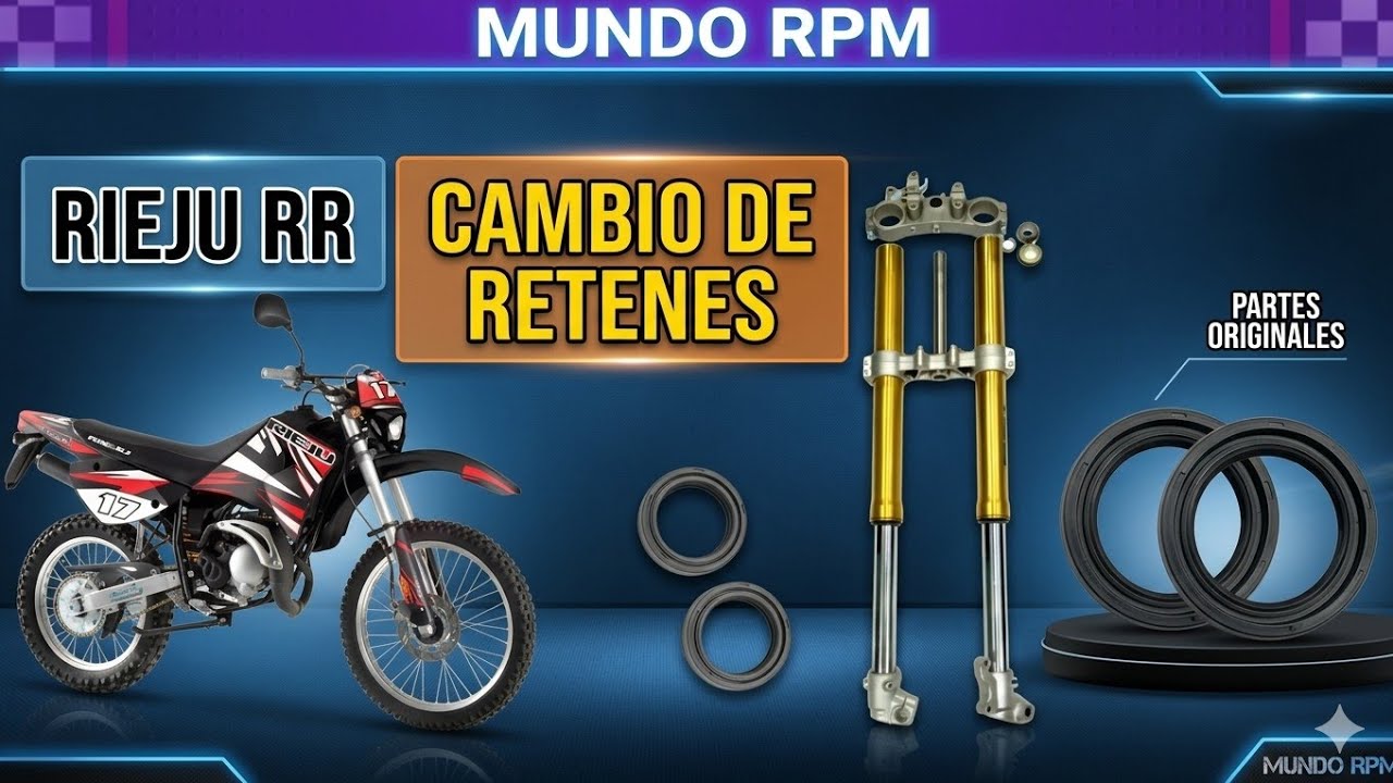CAMBIAR RETENES HORQUILLA SHOWA RIEJU RR SENDA R 49cc horquilla invertida guardapolvos suspensión