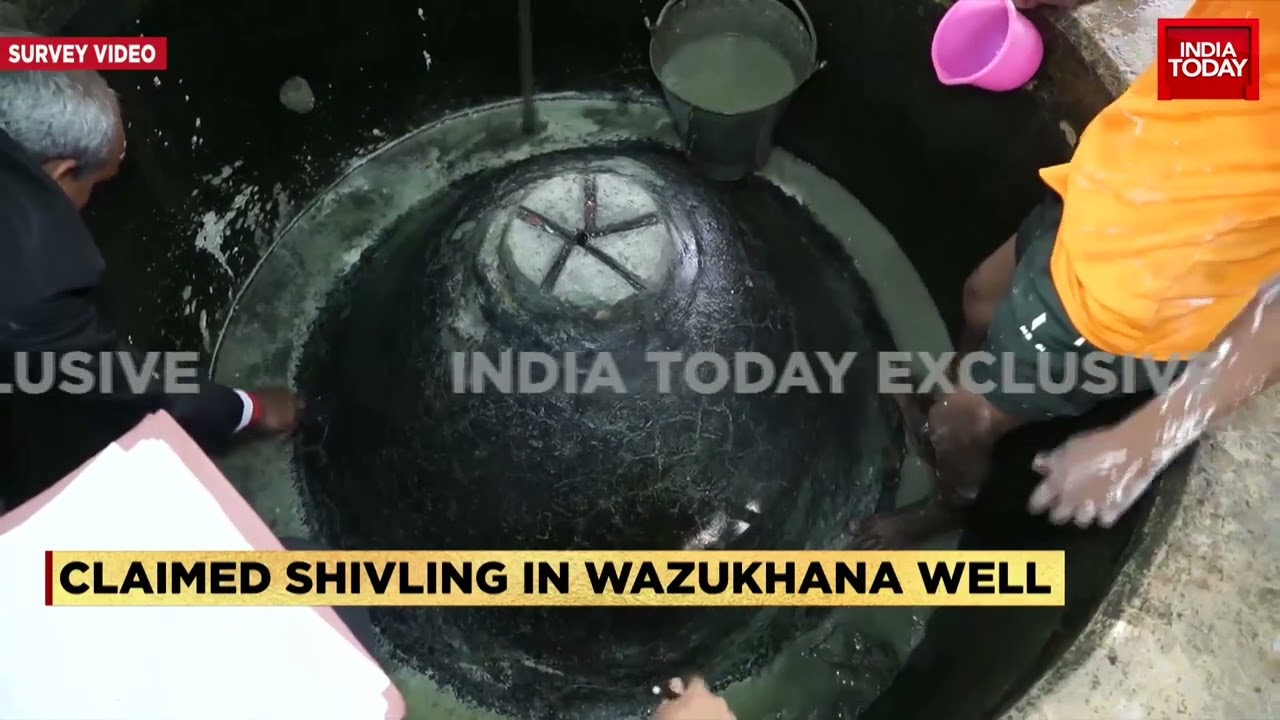 Gyanvapi Masjid Tapes: What Do The Survey Images Seem To Indicate?