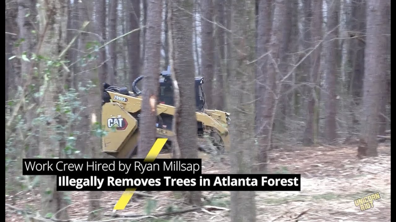 Work Crew Hired by Ryan Millsap Illegally Removes Trees in Atlanta Forest