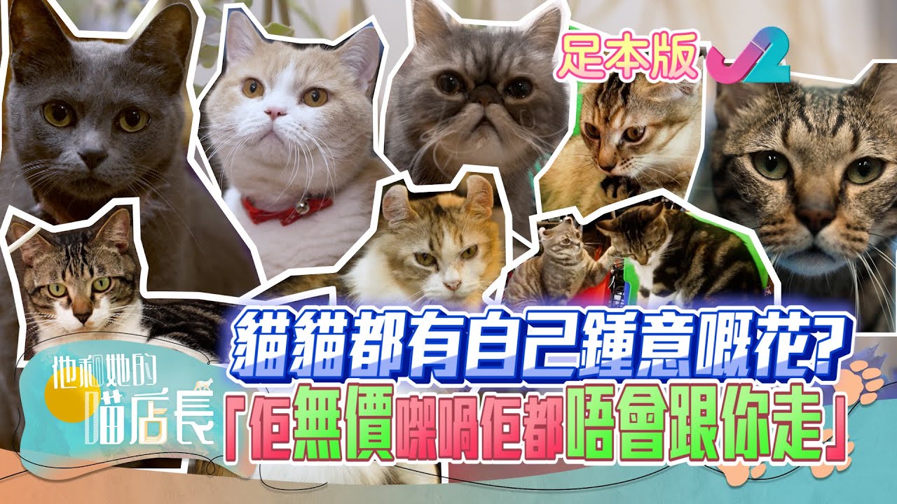 【足本睇】他和她的喵店長 第8集 | 玩具店同花店喵店長的吸客大法 🐱  | J2 | 中文孛幕