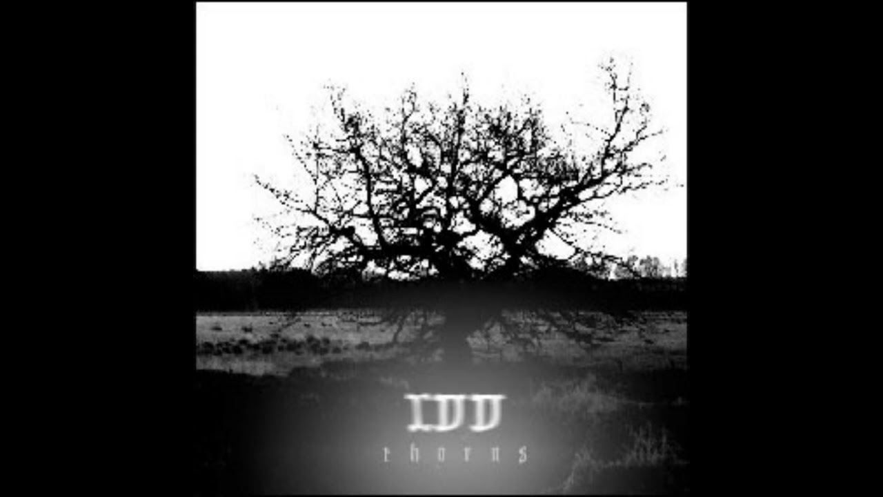 In Vino Veritas - Thorns [2006]