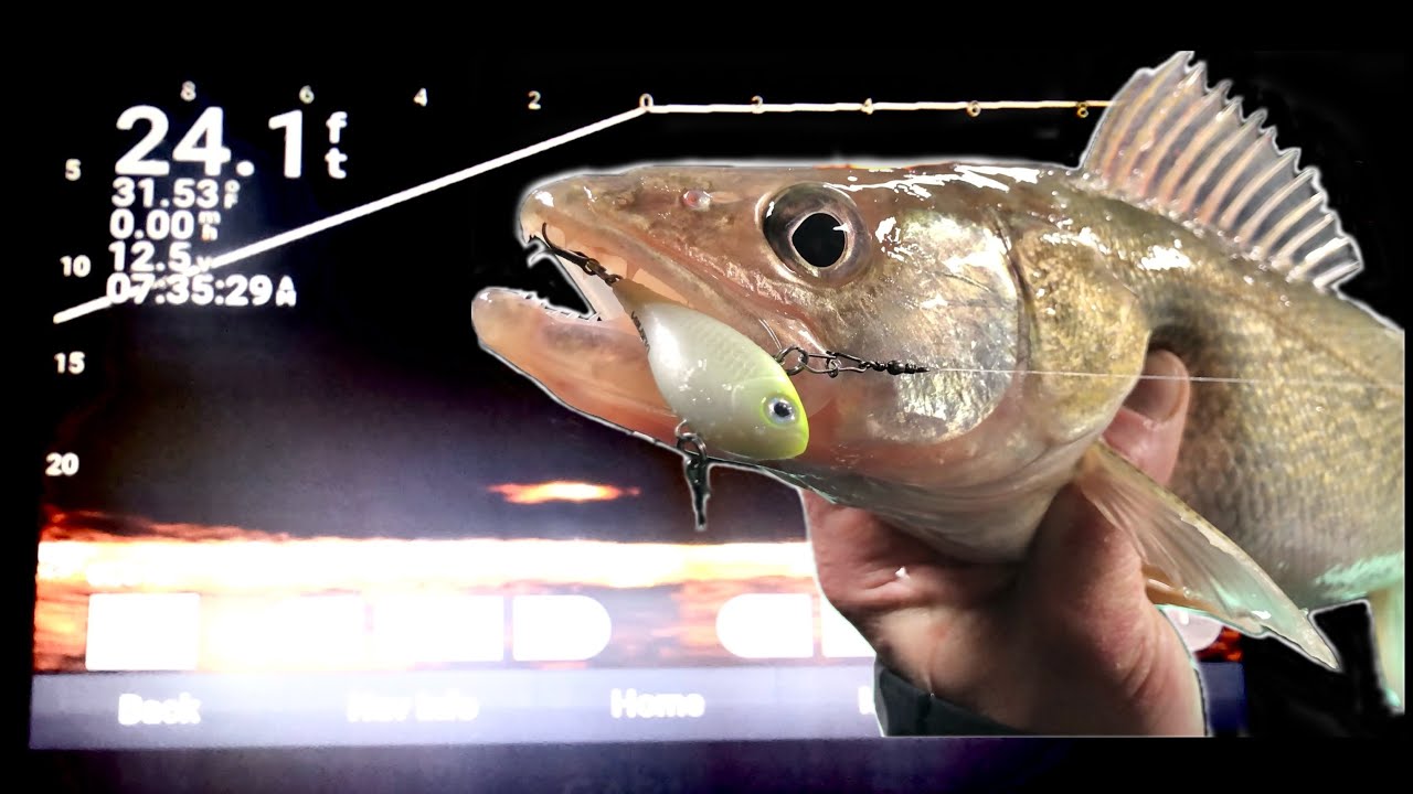 Livescope Ice Fishing Walleye on Lake Erie - Catch Clean Cook