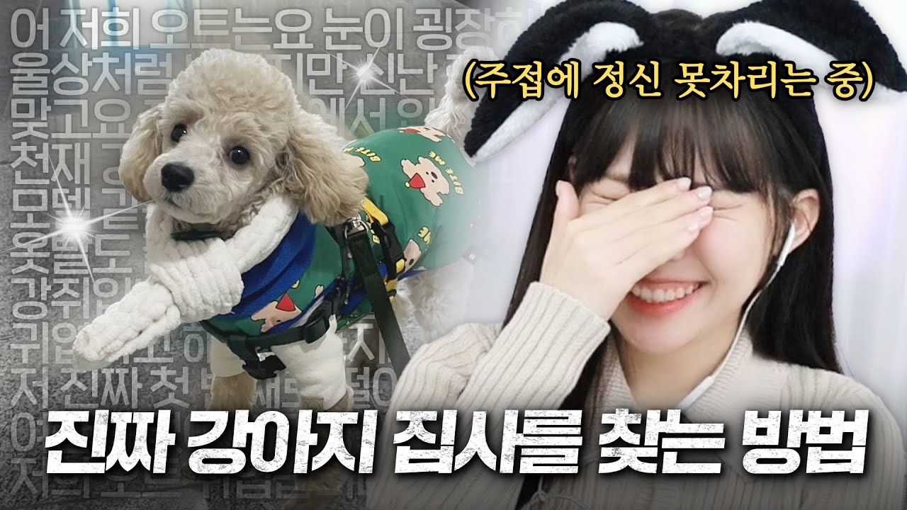 거짓 연기하는 사람들 중에 진짜 강아지 집사 찾아내기 [숨은잉친이찾기 개집사편]