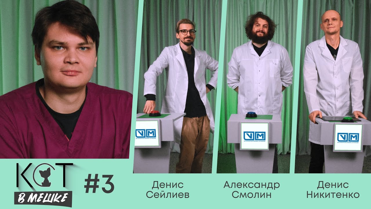 Кот в мешке #3 Сейлиев, Смолин, Никитенко