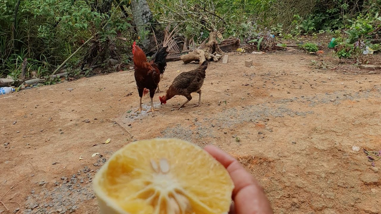 🔥Olha a vontade de comer um doce🔥