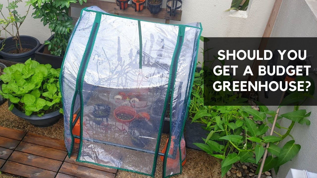 BEFORE YOU GET YOURSELF A BUDGET GREENHOUSE | Product & Usage Review