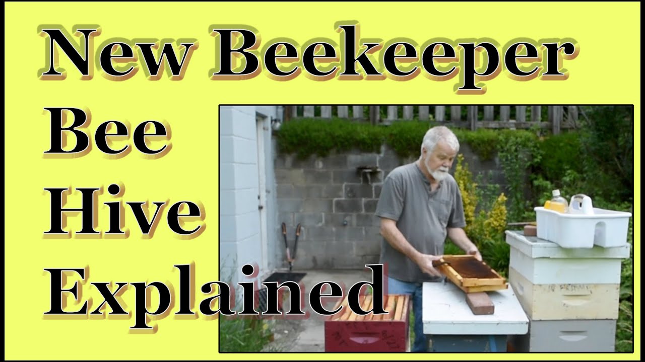 New Beekeeper Modern Beehive