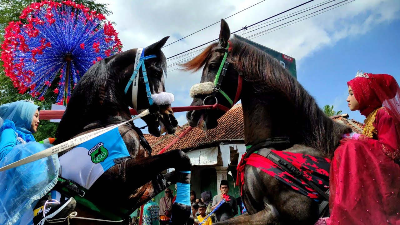 KUDA - Naik kuda Jingkrak sambil sholawatan - Atraksi kuda - Prancing Horse show - Sholawat Nariyah