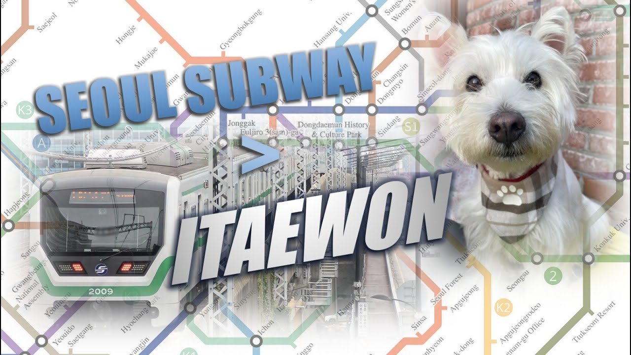 DOG ON SUBWAY in SEOUL | Pet Friendly ITAEWON