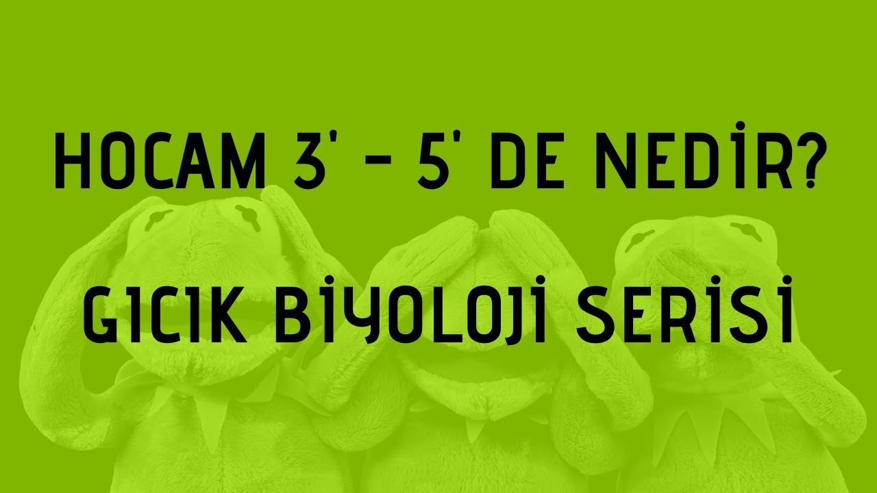 Hocam 3'-5' de nedir?