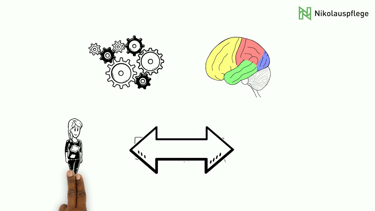 Das räumliche Sehen