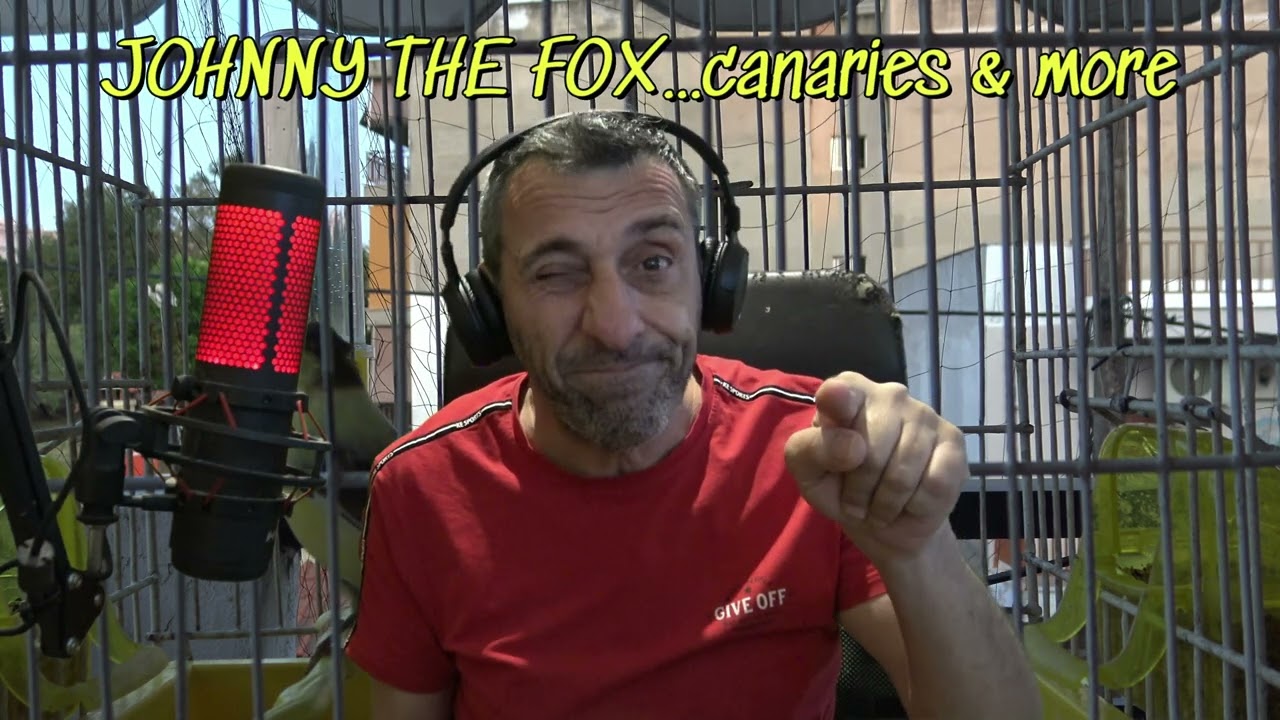 ΒΑΛΤΕ ΑΥΤΕΣ ΤΙΣ ΦΩΝΕΣ ΣΤΑ ΚΑΝΑΡΙΝΙΑ ΣΑΣ