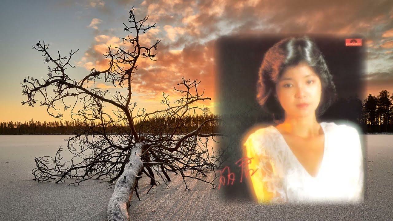 亞洲歌后鄧麗君一詞雙曲 《勢不兩立 Irreconcilable》《風霜伴我行 Hardships Accompanied My Journey in Life》