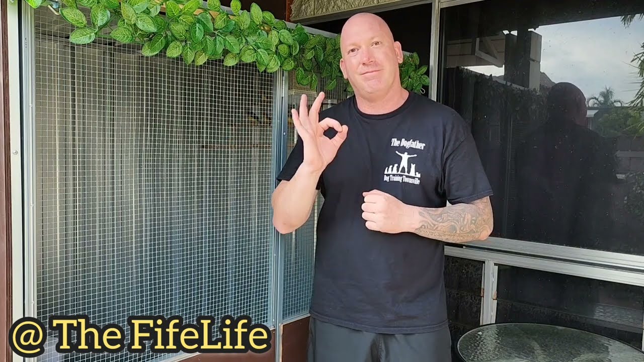 The FifeLife - Journal #3 it's all about 