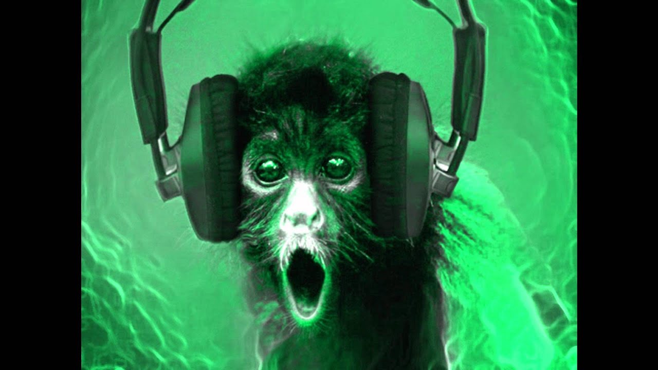 Hardstyle 2011 - 2012