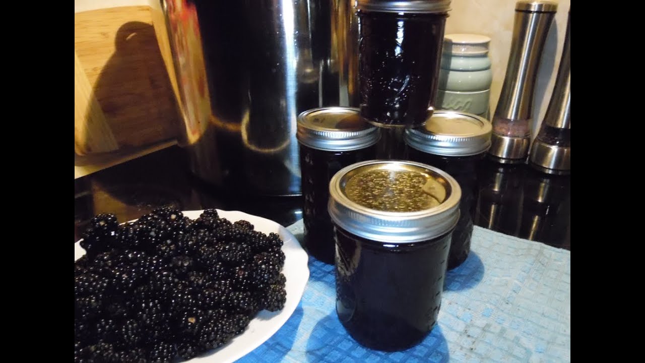 How to Can Blackberry Syrup #canning Blackberry Syrup #prepping #preps #shtf #preparedness