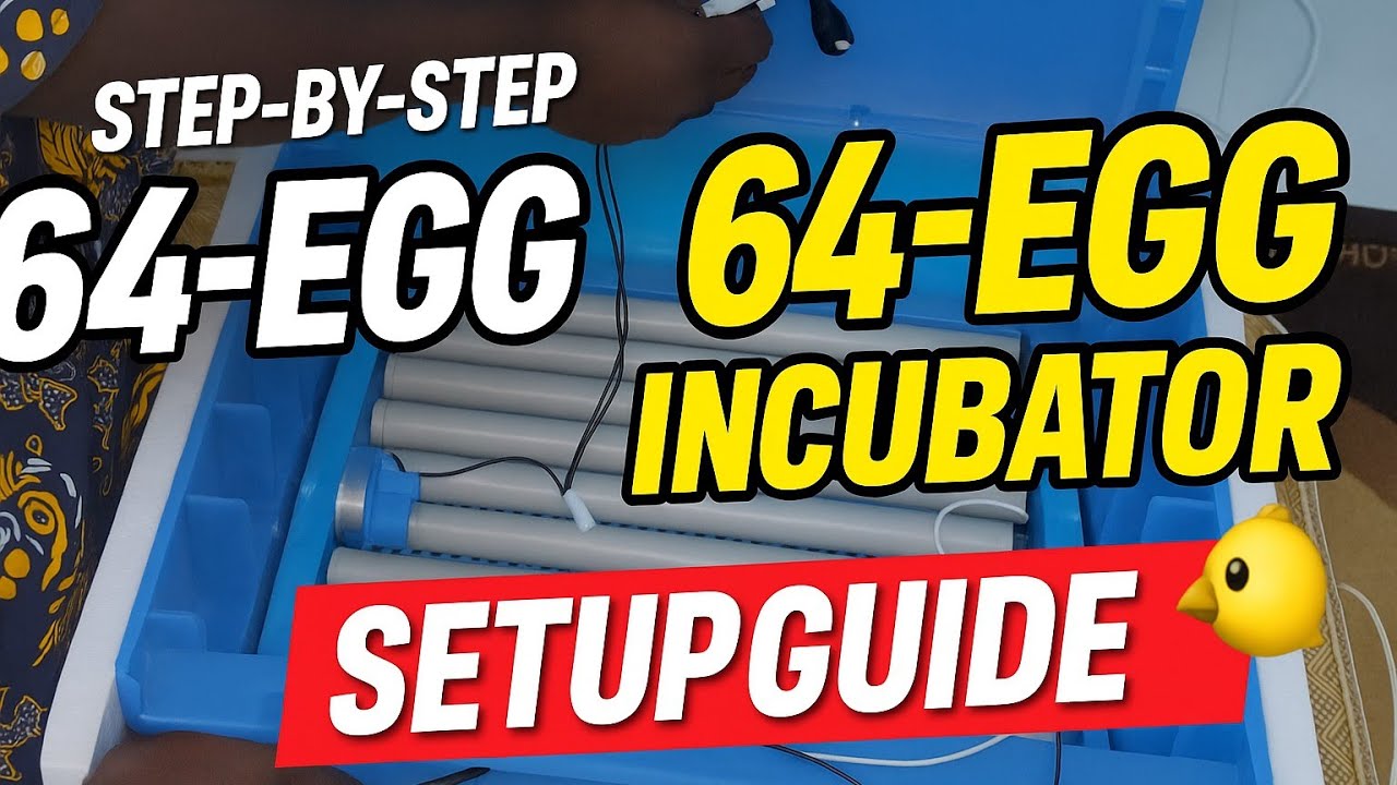 64-Egg Incubator Assembly | Step-by-Step Setup for Perfect Hatching