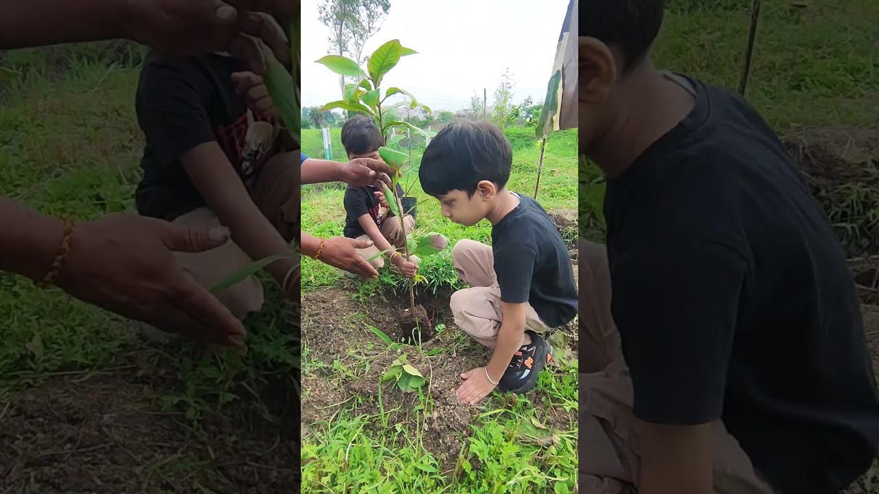 🌿 Hanu Manu's Green Tribute to Kargil Martyrs 🌱 | Honoring Our Brave Heroes with Plantation ❤️&hearts;️