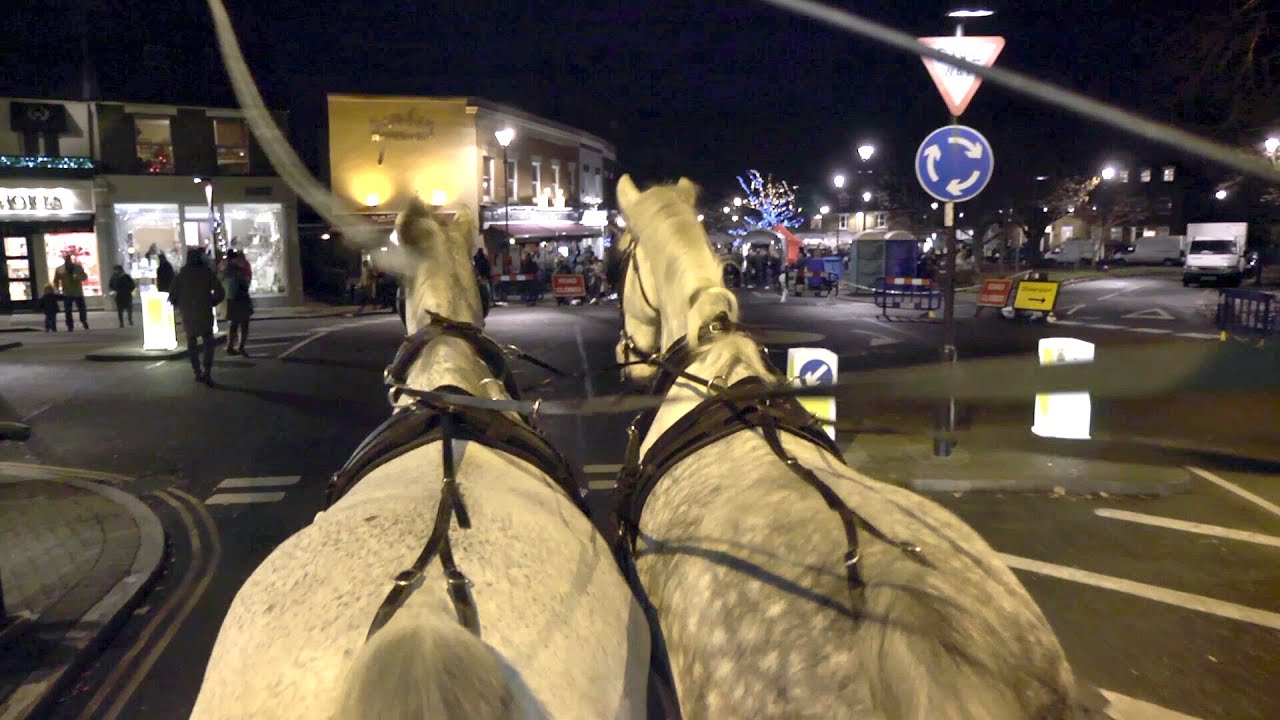 St Nicholas Fair video  - Winchmore Hill Green 8th December 2012