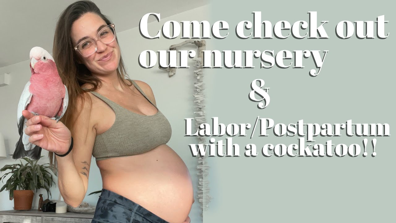 1 Bedroom Condo Nursery Set Up & My Pregnancy/Postpartum Plan with a Cockatoo!