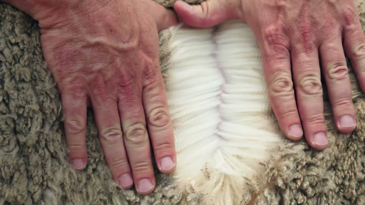 Andrew Jordaan & Seuns 2023