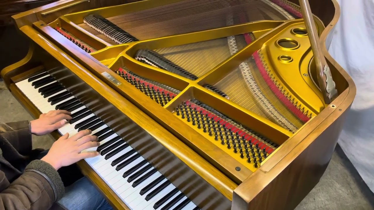 Danemann Baby Grand in Walnut Case. 