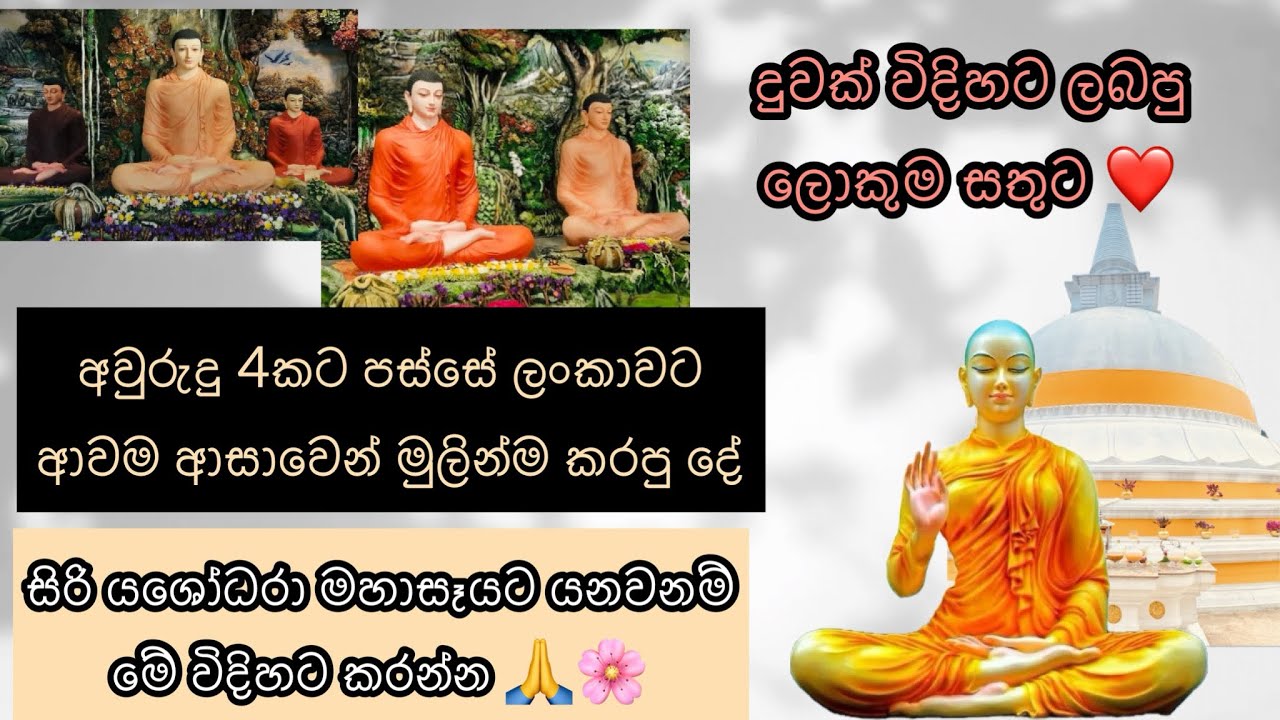 ටික කාලෙකට පස්සෙ ආයෙත් ආවා 🫣|අවුරුදු ගානක හීන බලාපොරොත්තු ඉටු වෙනකොට දැනෙන හැගීම කියන්න වචන මදි මට 🥺