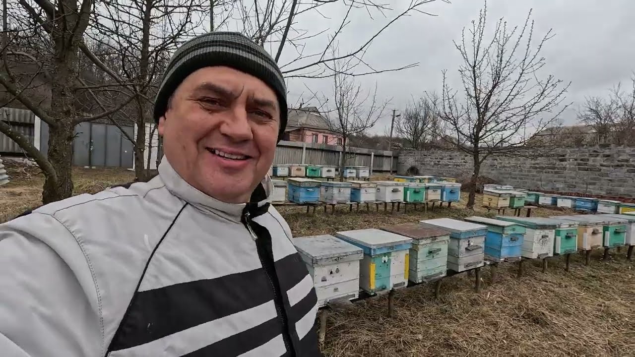 ✅ Сверхраняя Кочевка с пчелами к лесу! Фазенда заселилась! #пчеловодство1