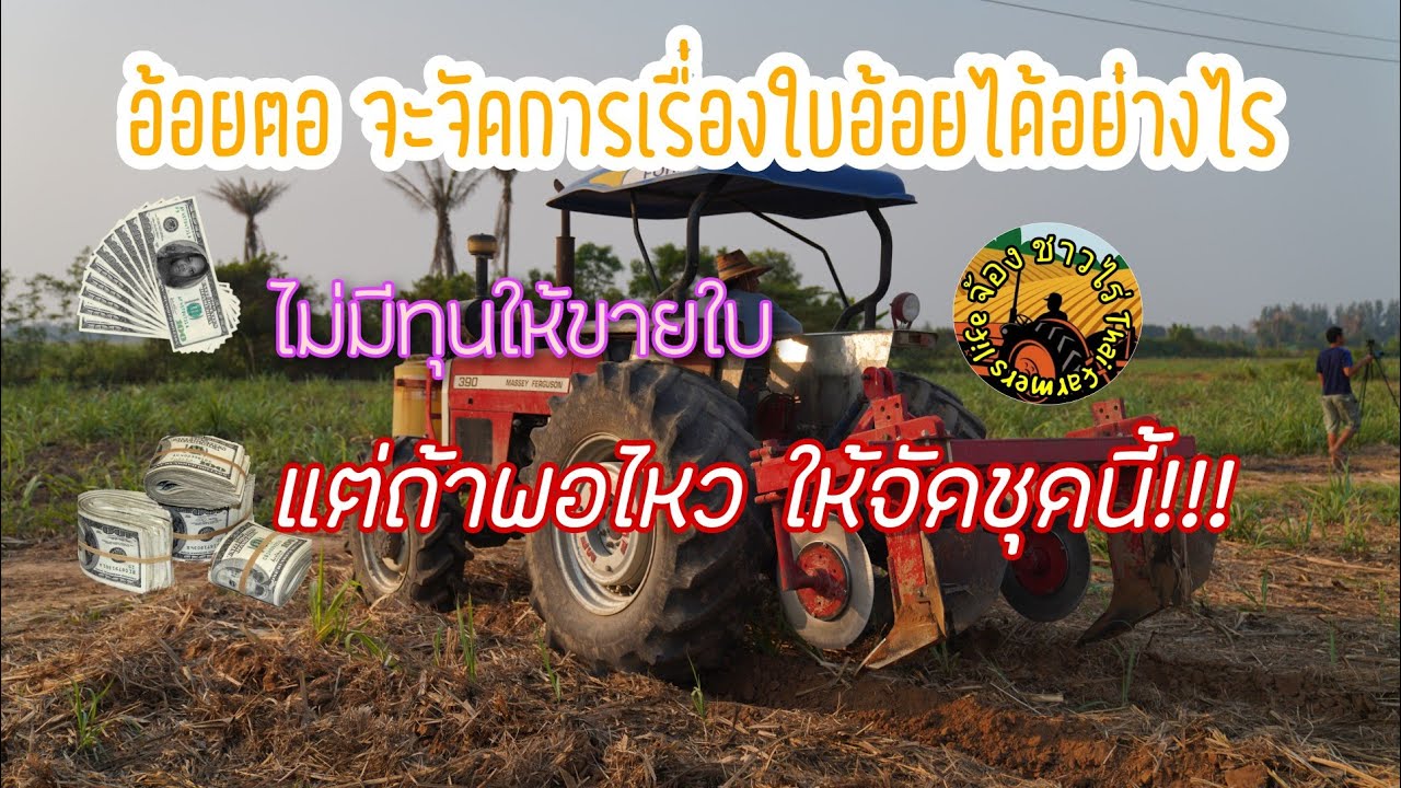 การจัดการอ้อยตอ แก้ปัญหาเรื่องใบอ้อยโดยไม่ต้องเผา