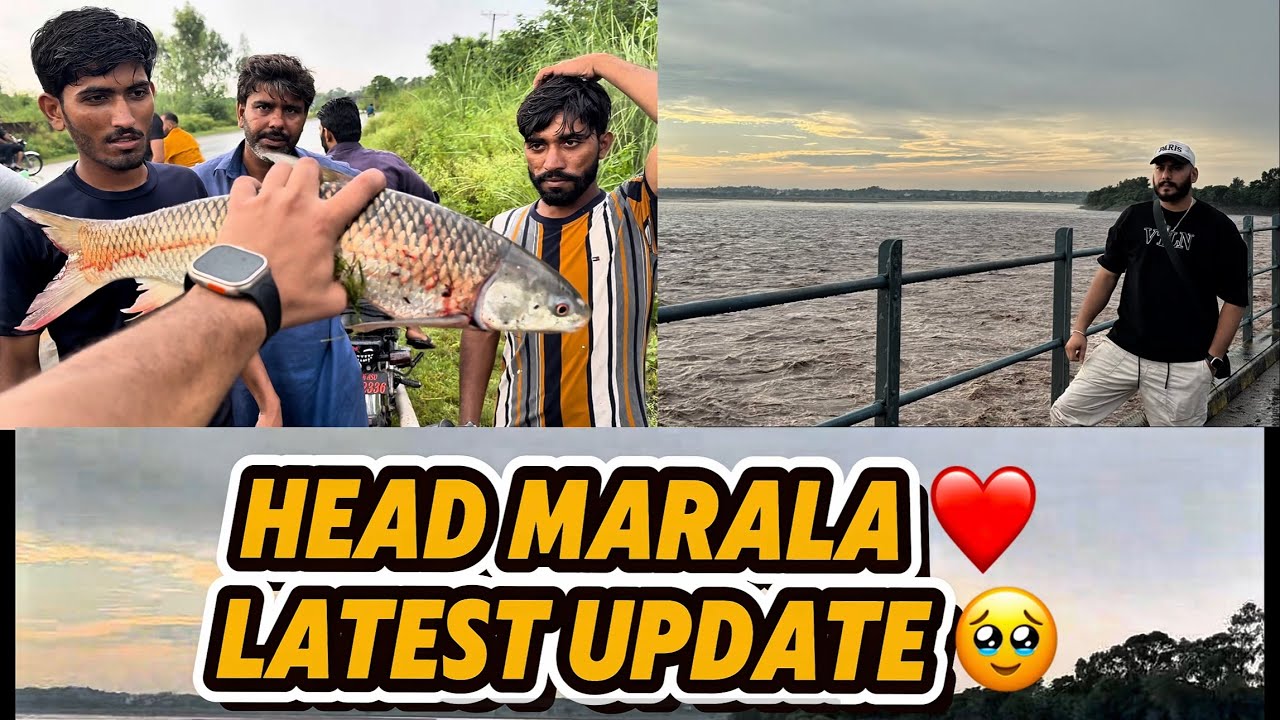 Head Marala Latest Update 🌊 | Fishing, Nature & Adventure 🎣❤️