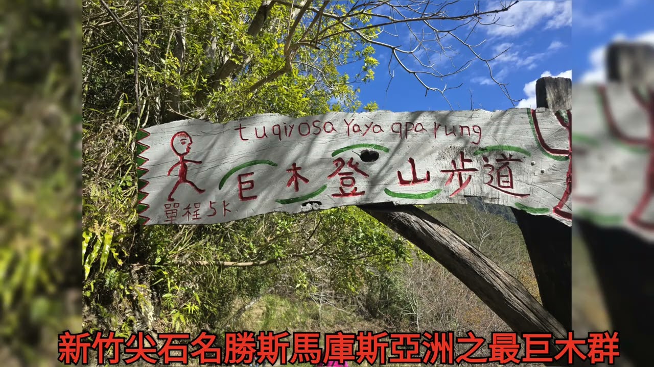 新竹尖石名勝瑰寶司馬庫斯巨木群泰雅族生態觀人間仙境大自然的力量