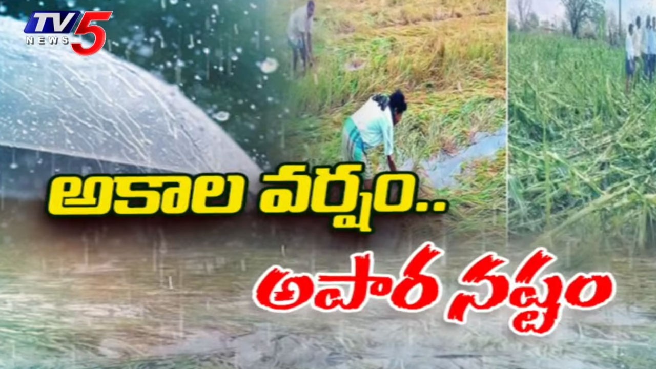 Farmers Face Huge Loss Due To Heavy Rains Across Telangana || TV5 News