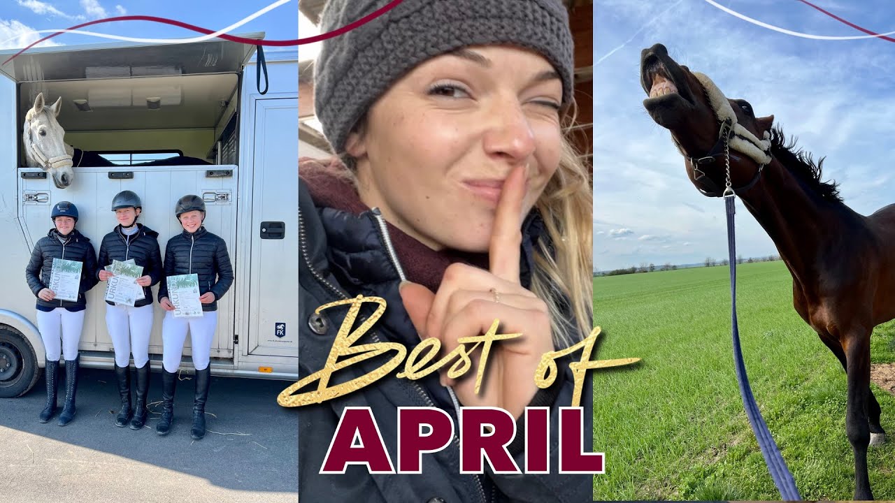 NEUE alte Bekannte? 🐴 | zwischen 😥 & 😍 | Best of April
