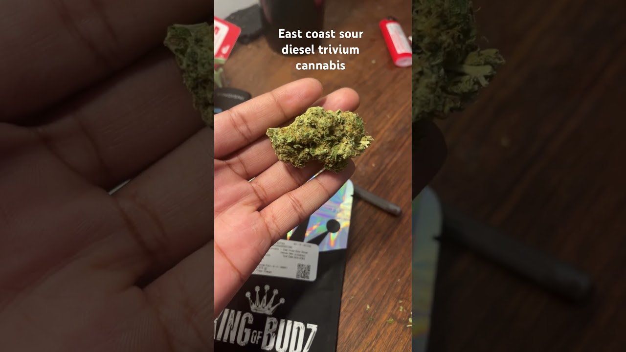 East Coast Sour Diesel Trivium Cannabis