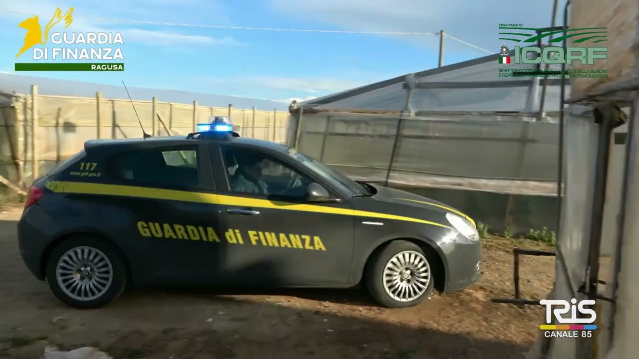 Sequestrati 30mila semi di pomodori contraffatti: denunciati quattro imprenditori
