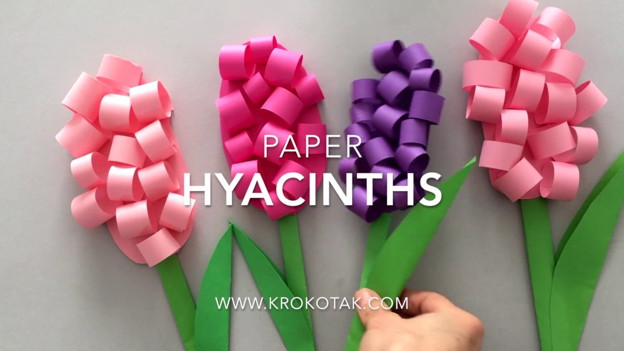 Paper HYACINTHS