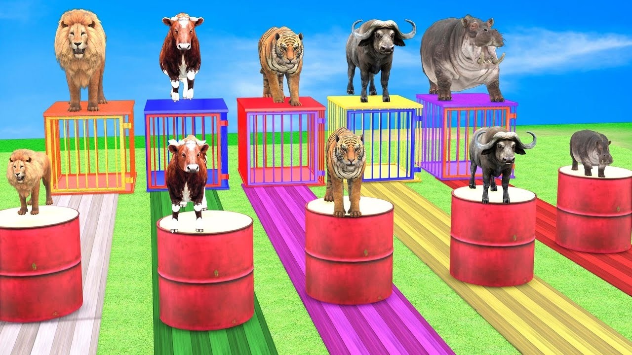 Long Slide Game With Elephant Gorilla Buffalo Hippopotamus Tiger 3d Animal Game Funny 3d Animals