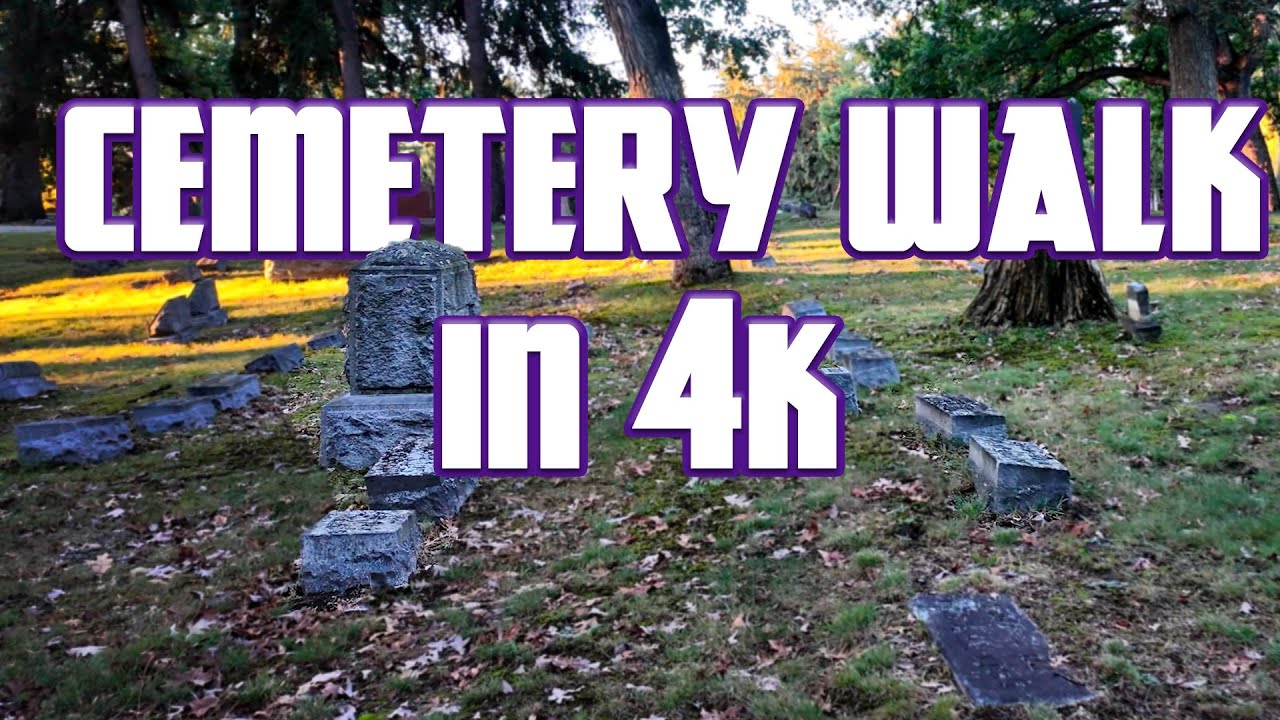 🪦 Morning Cemetery Walk 🧟‍♂️ | 4K | Binaural Audio