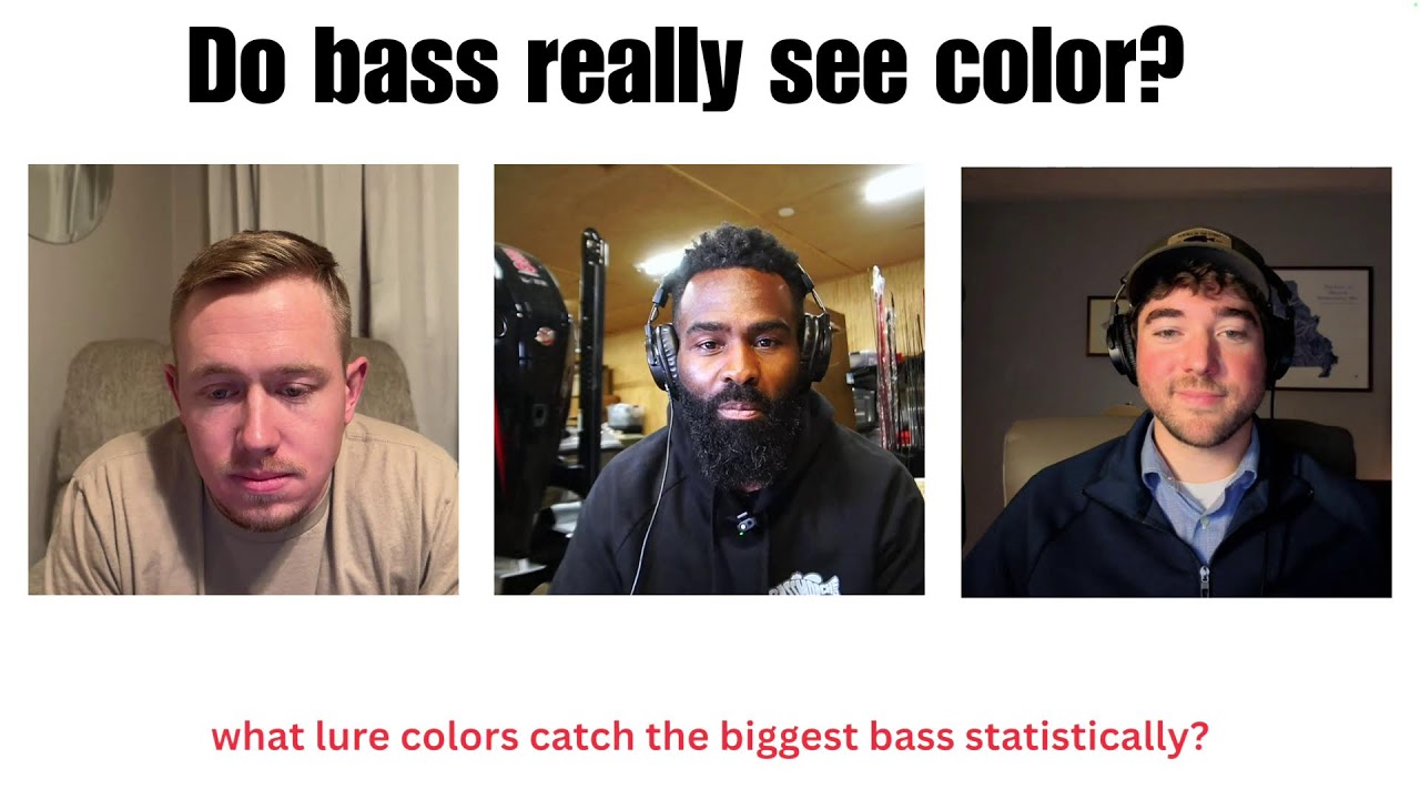 Do Bass See Lure Color? - Science Behind Largemouth Vision